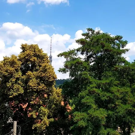 Elbhangblick Apartment Dresden